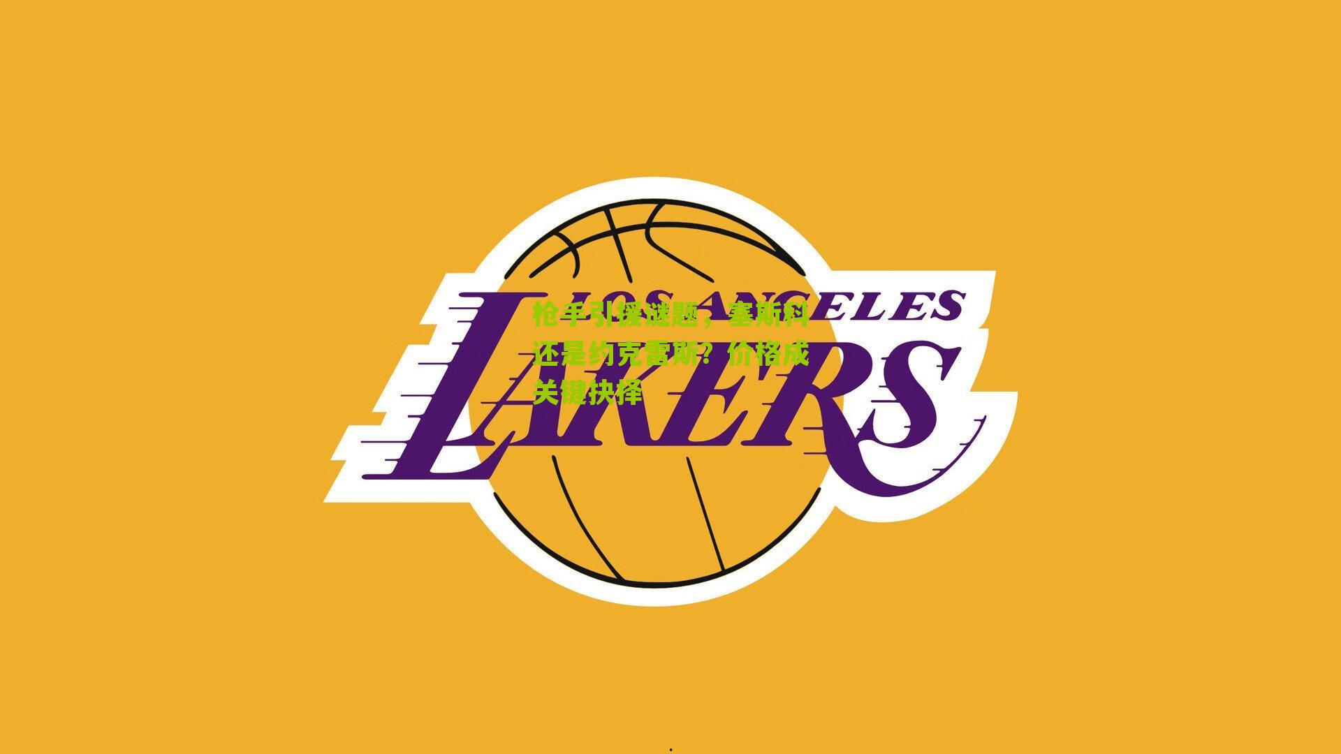 枪手引援谜题,塞斯科还是约克雷斯?价格成关键抉择